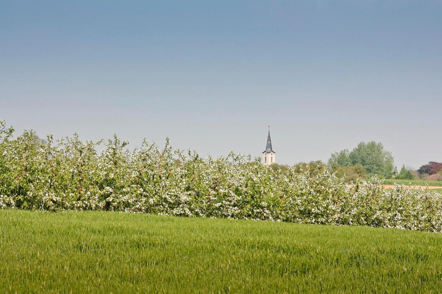 Rikkeshoeve Vakantiewoning Aalst 外观 照片