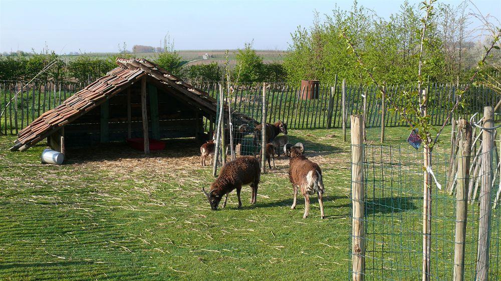 Rikkeshoeve Vakantiewoning Aalst 外观 照片